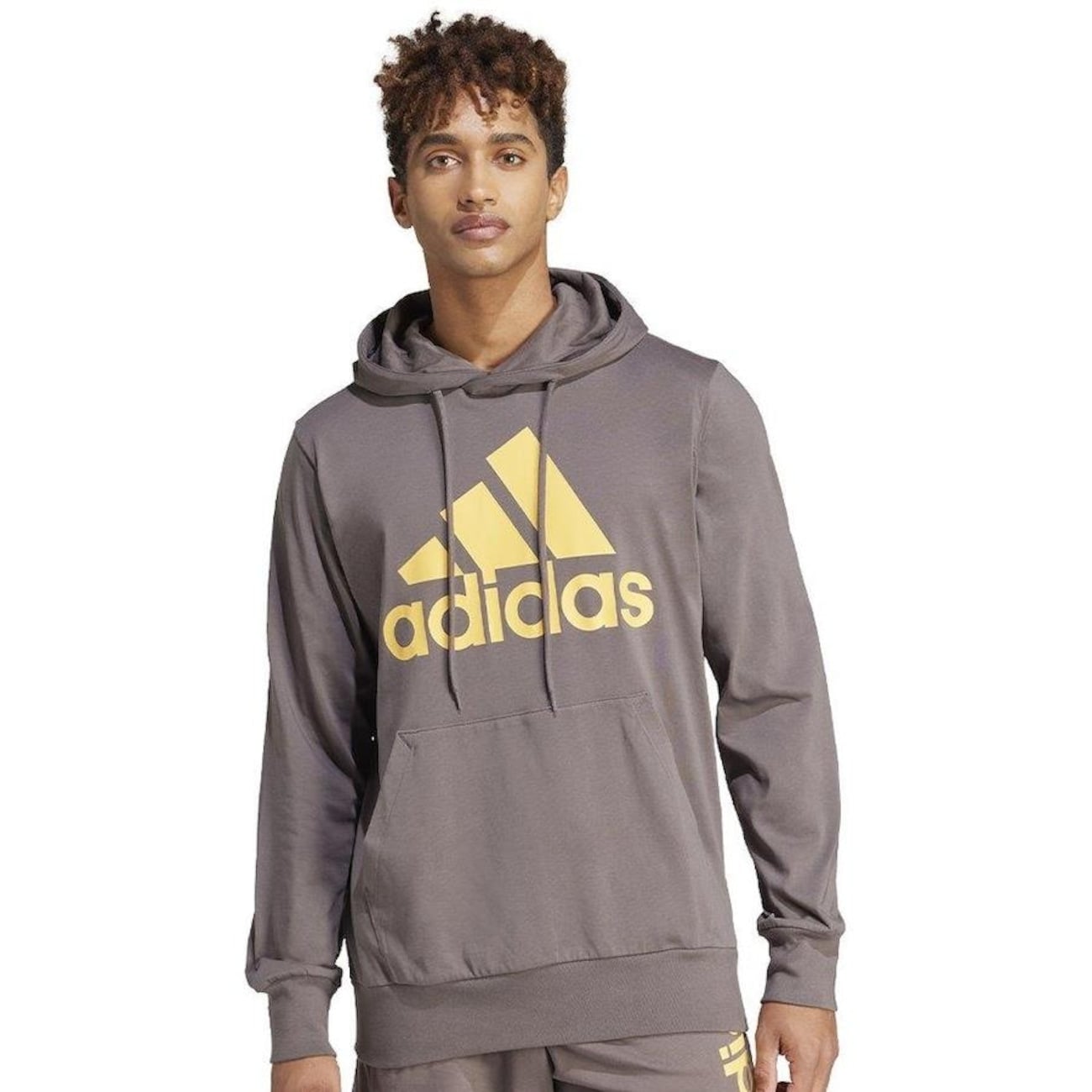 Blusão com Capuz Adidas Essentials Logo - Masculino — imagem 1