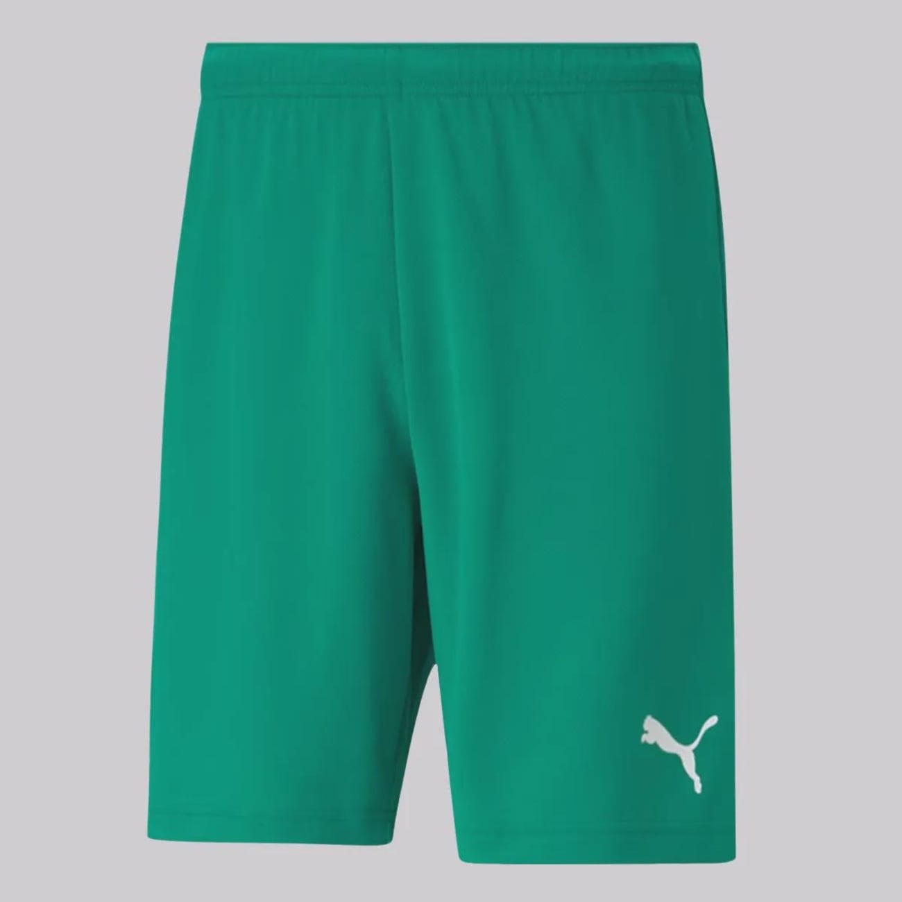 Bermuda Puma Teamrise Masculina
