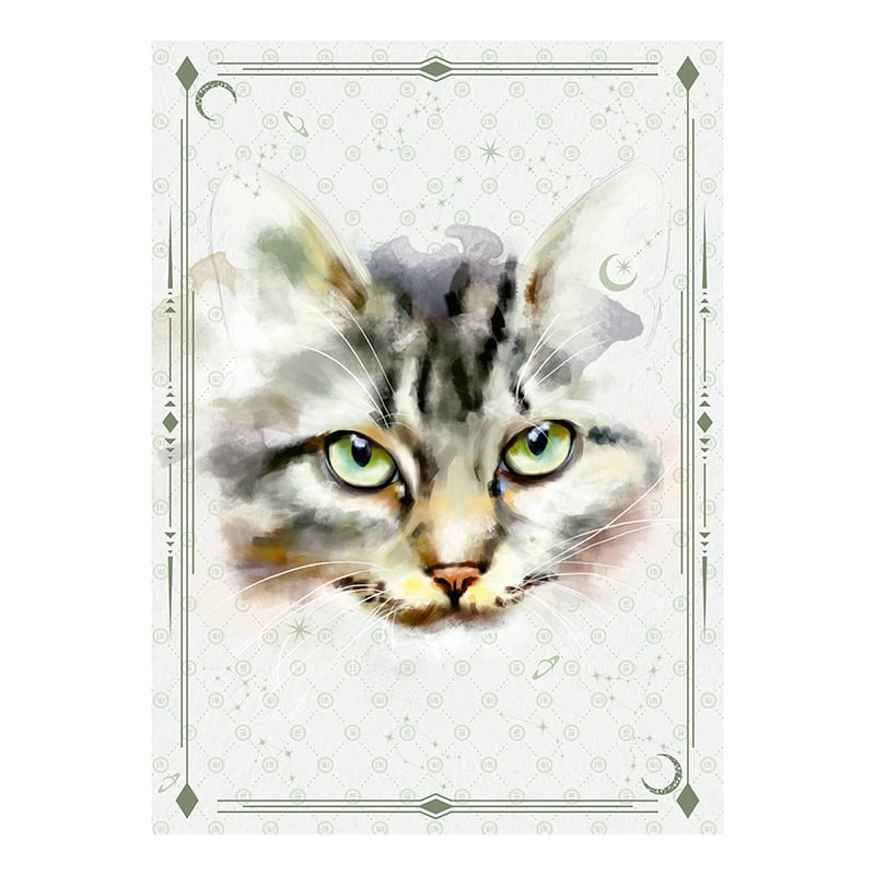 Canga Estampa Gato