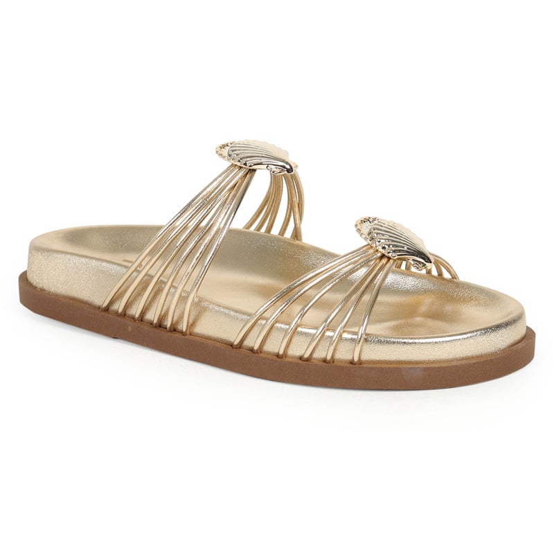 Birk Tiras Concha