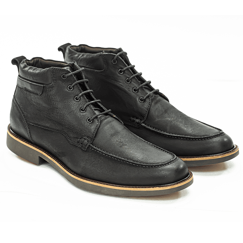 Bota