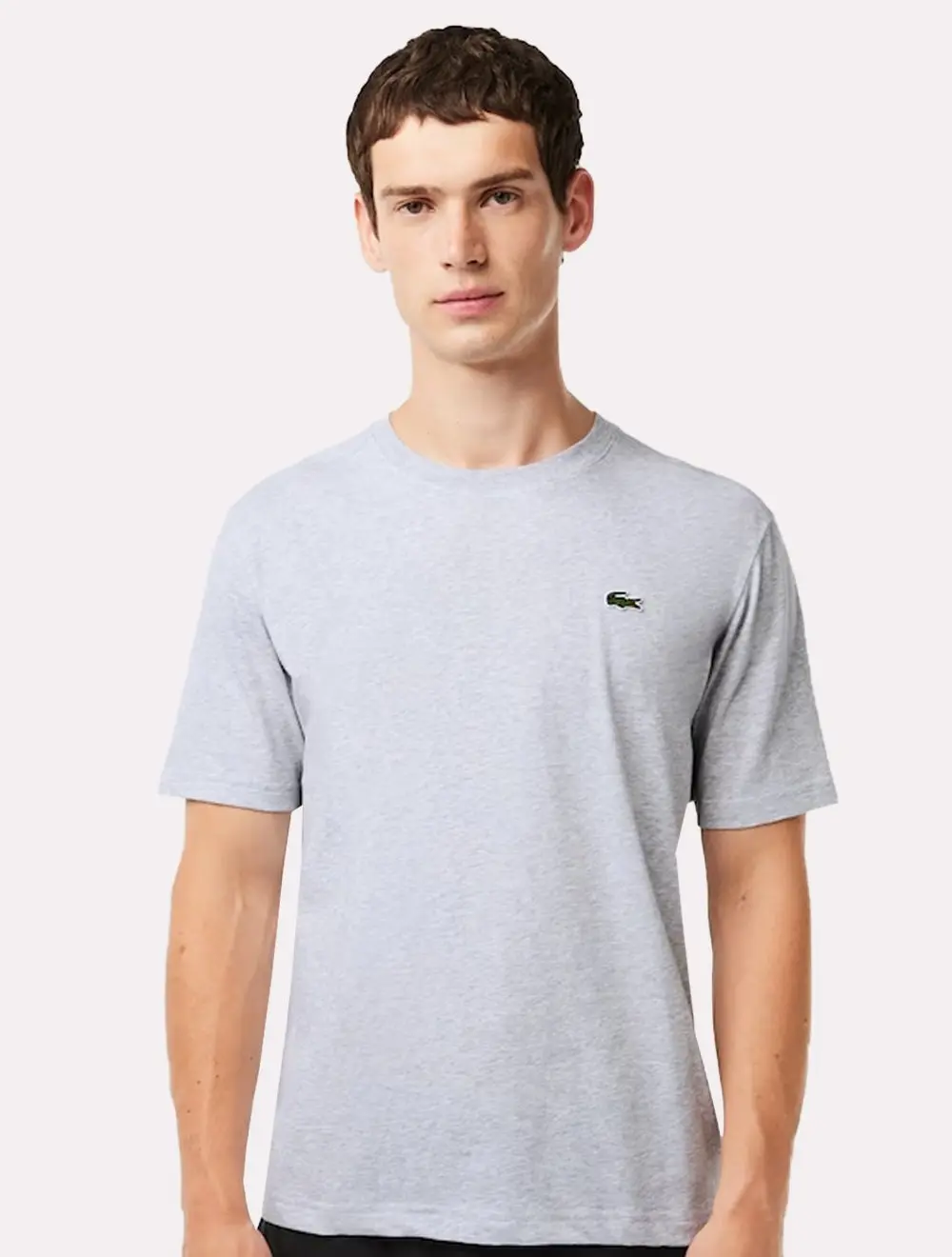 Camiseta Lacoste Masculina Basic Sport Quick Dry Cinza Mescla
