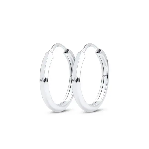 Brinco Argola Pequeno