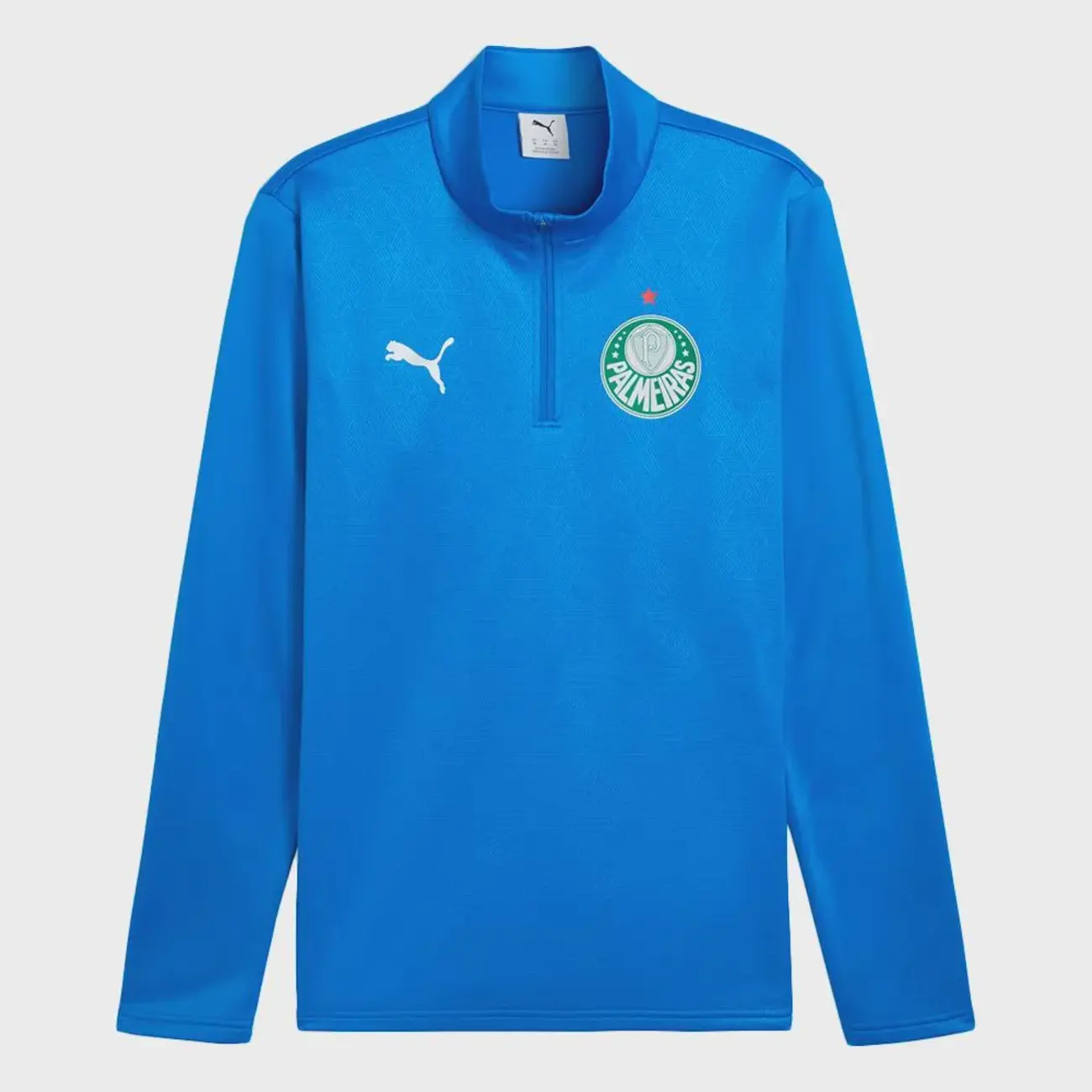 Blusa De Treino do Palmeiras Warm Se Puma Masculino
