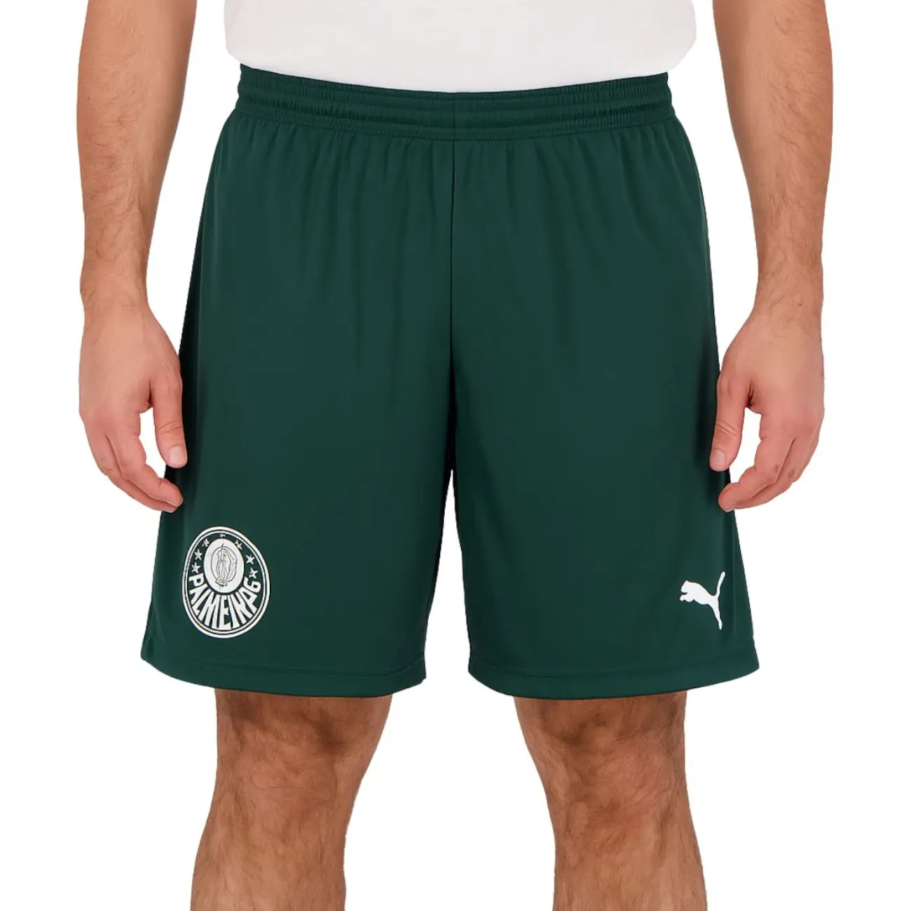 Bermuda do Palmeiras Basquete Puma - Masculina