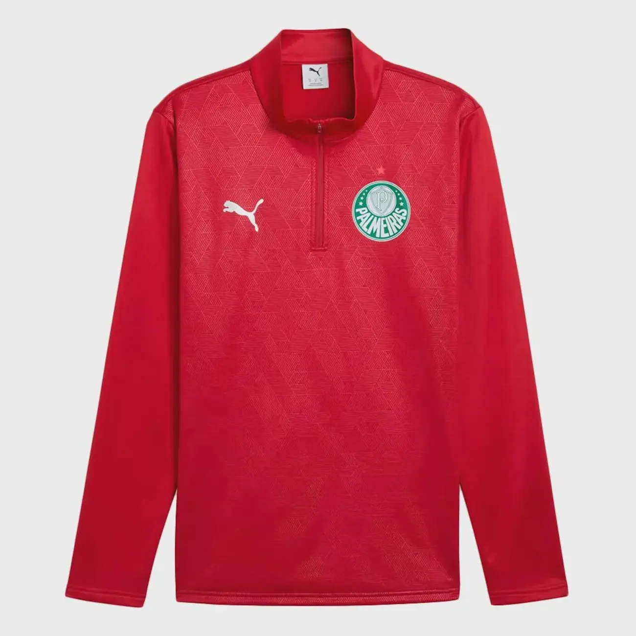Blusa de Treino Puma Palmeiras Warm SE Masculina