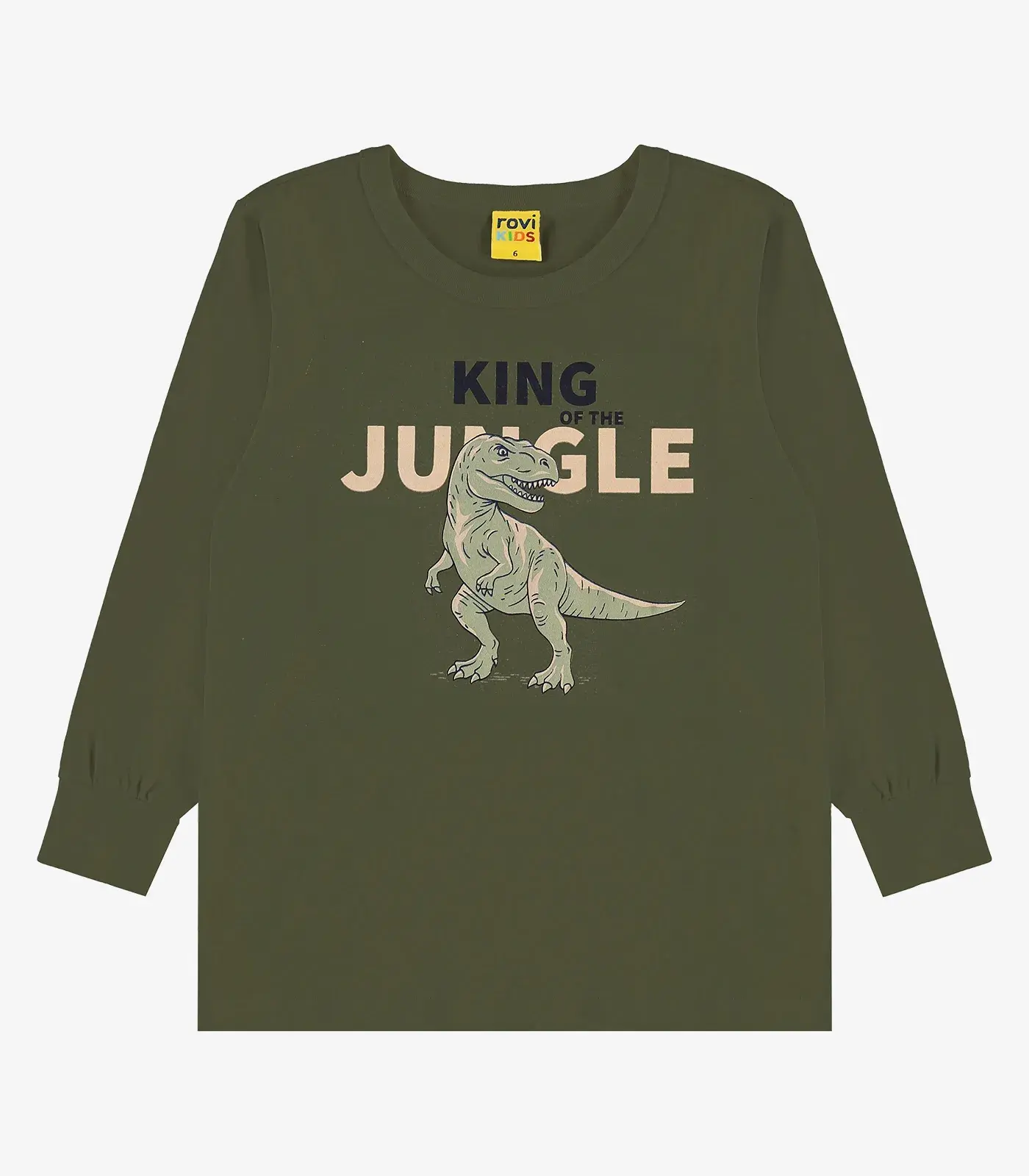 Camiseta Manga Longa em Meia Malha Rovi Kids Verde