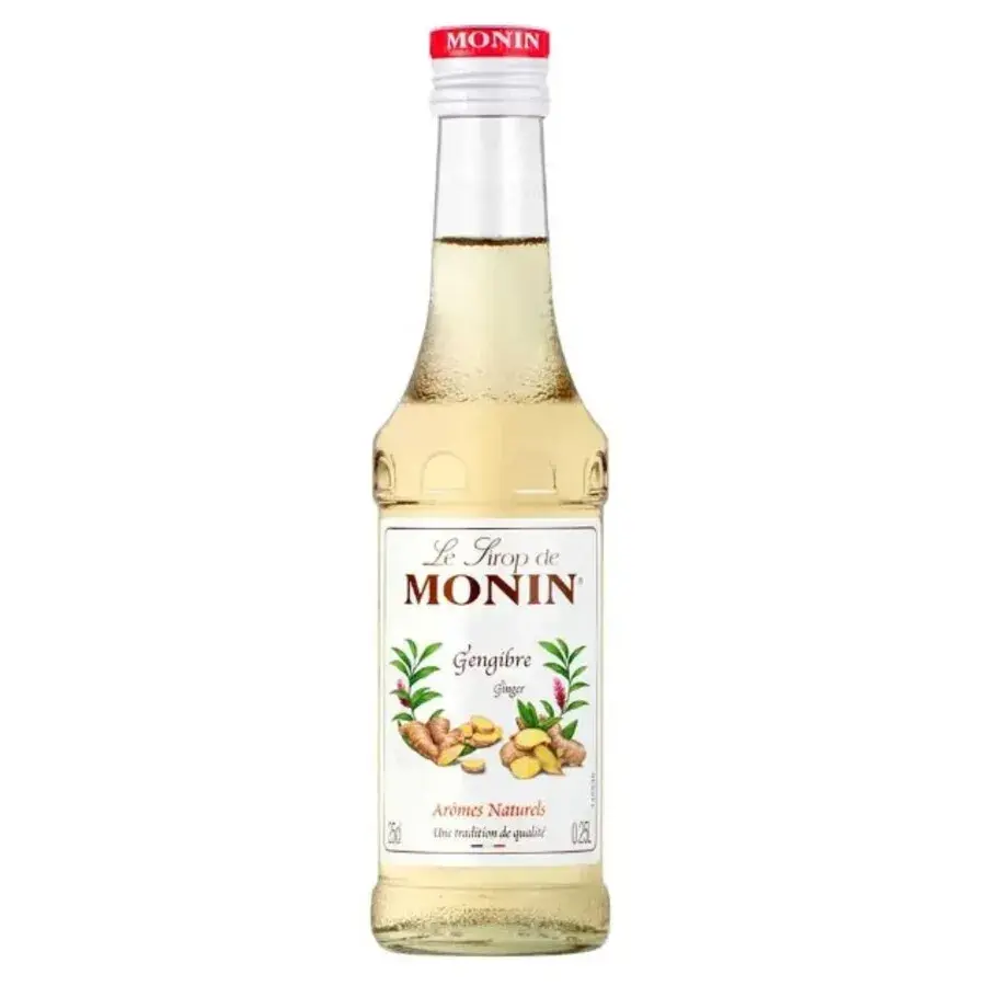 Xarope de Gengibre 250ml Monin