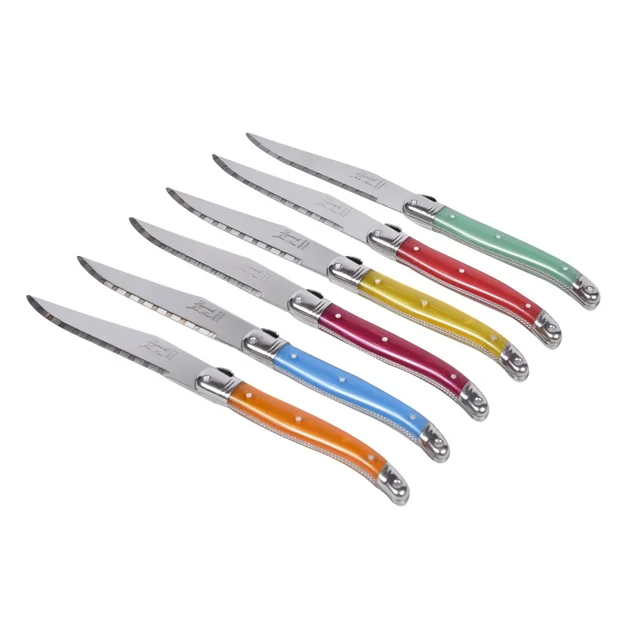 6 Facas Laguiole em Aço Inox Coutelerrie Neron Coloridas