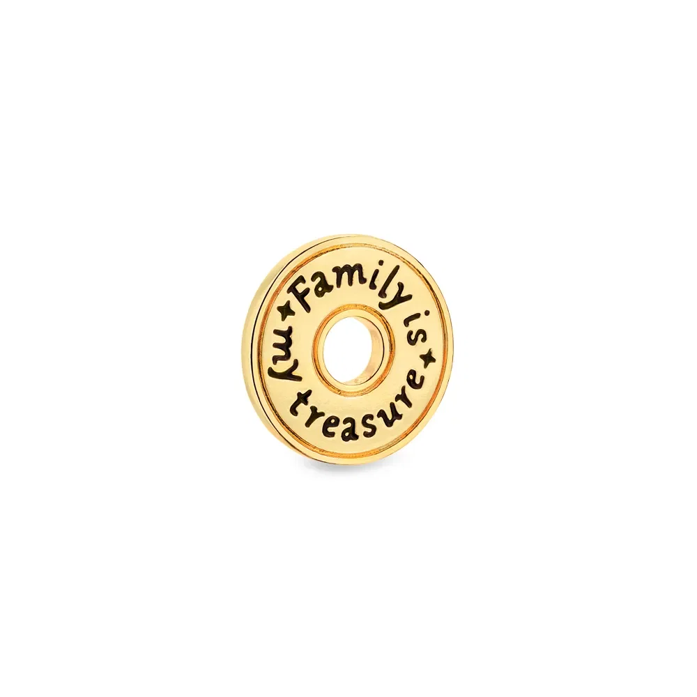 Pingente Life Wishes Family Is My Treasure em Prata 925 com Banho de Ouro Amarelo 18k — imagem 1