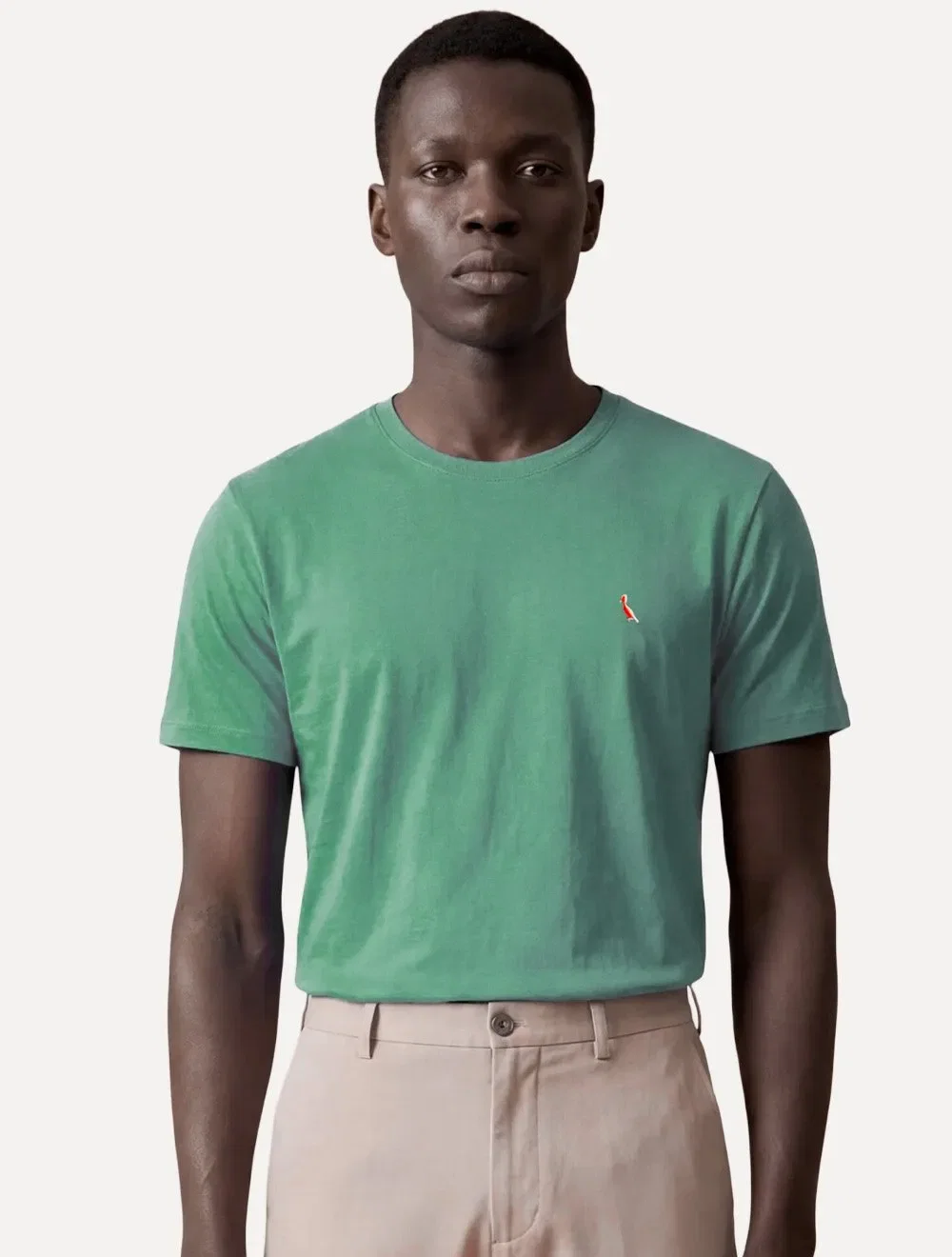 Camiseta Reserva Masculina Basic Red Woodpecker Stoned Verde Escuro