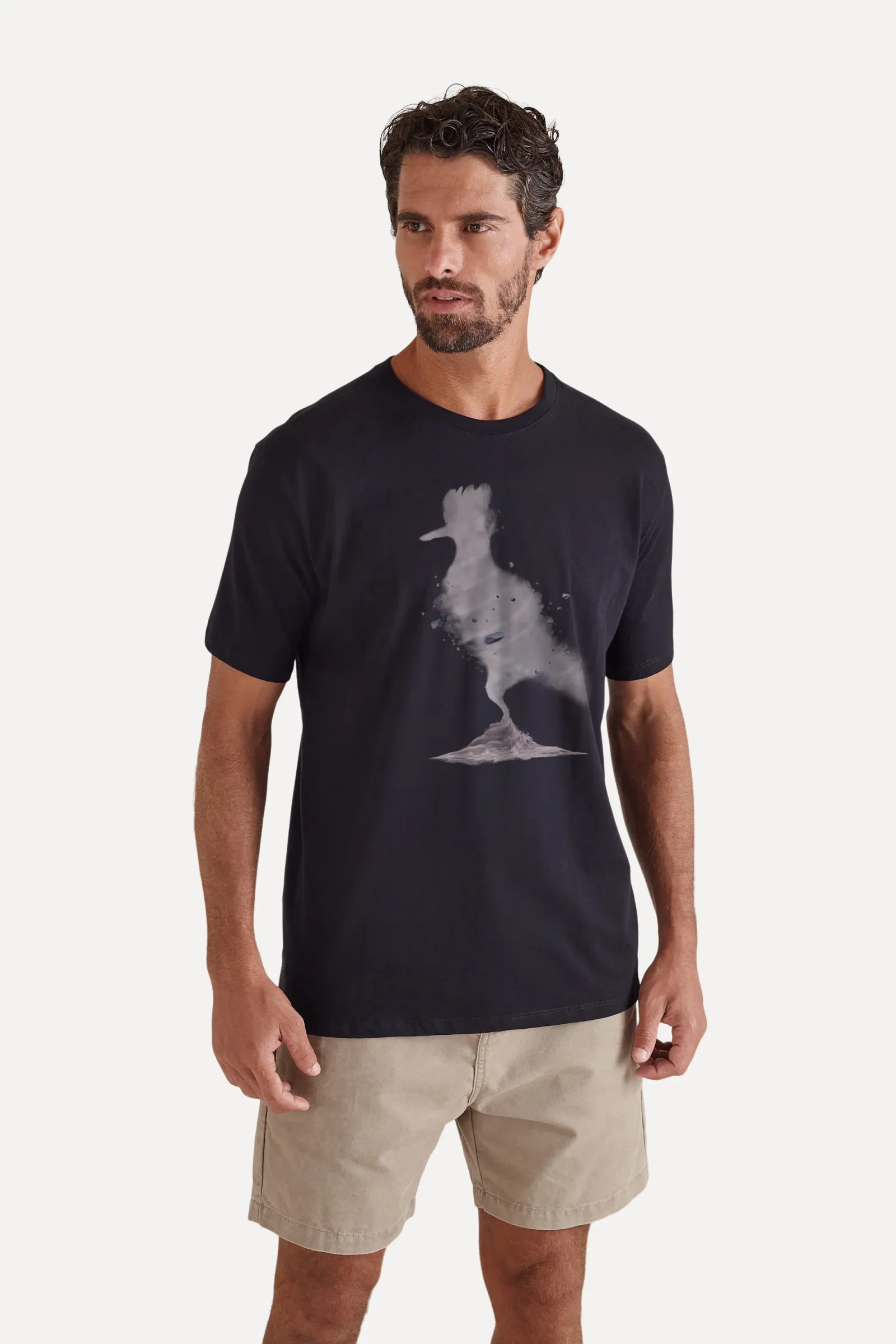 Camiseta Pica-pau Ar — imagem 1