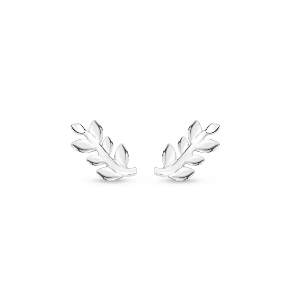 Brinco Nature em Prata 925 — imagem 1