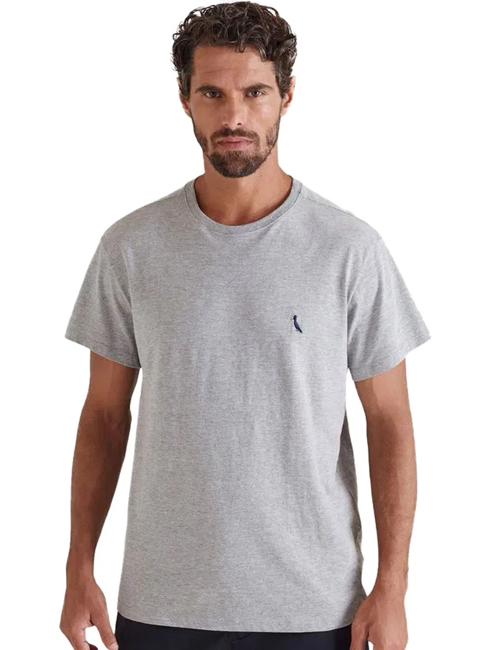 Camiseta Reserva Masculina Basic Navy Woodpecker Cinza Mescla