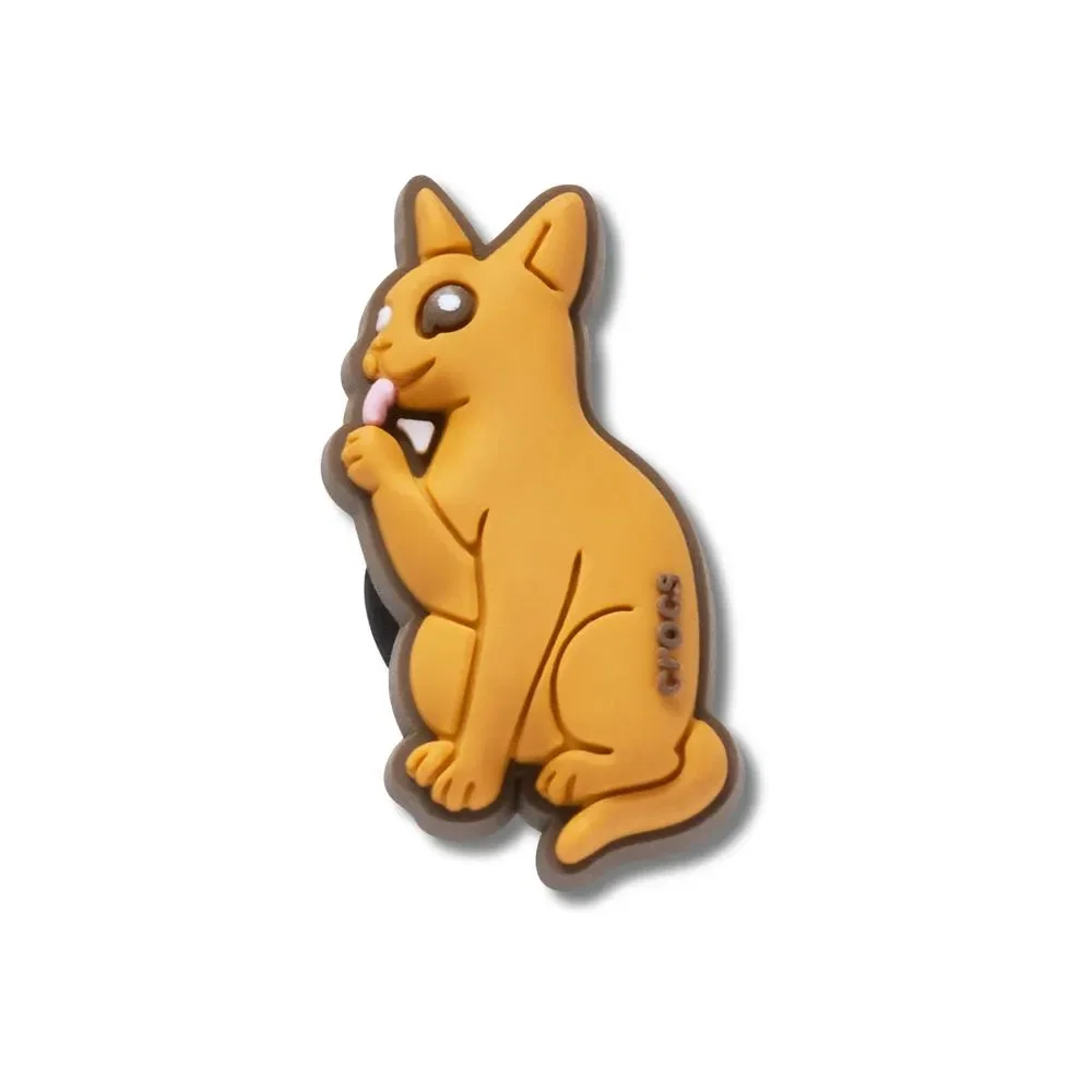 Gato Abissínio