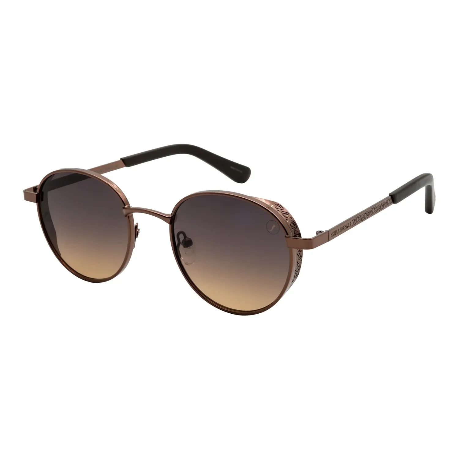 Óculos de Sol Masculino Cazuza Metal Redondo Degradê Marrom