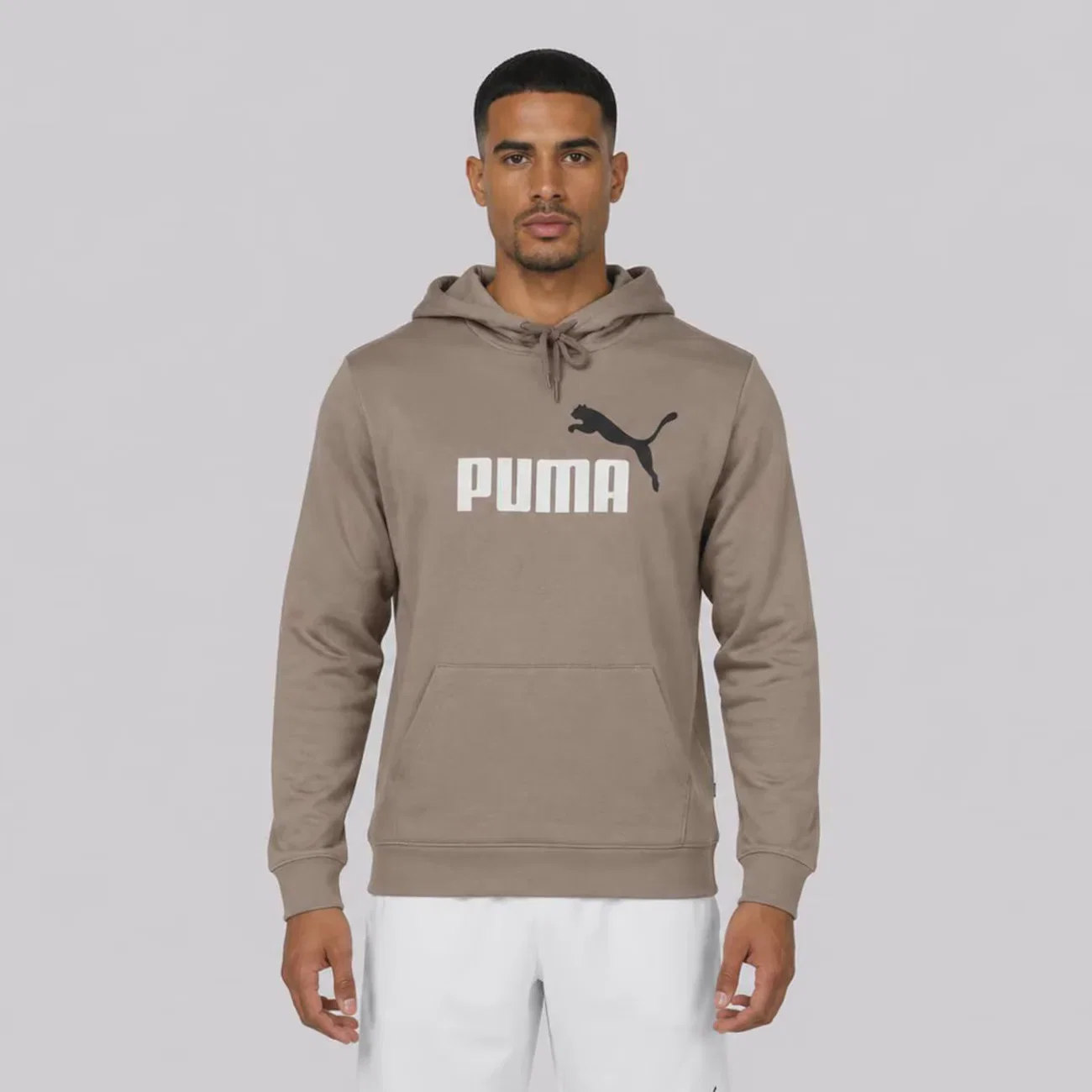 Blusão de Moletom Puma Ess 2 Color No.1 Logo FL Masculino
