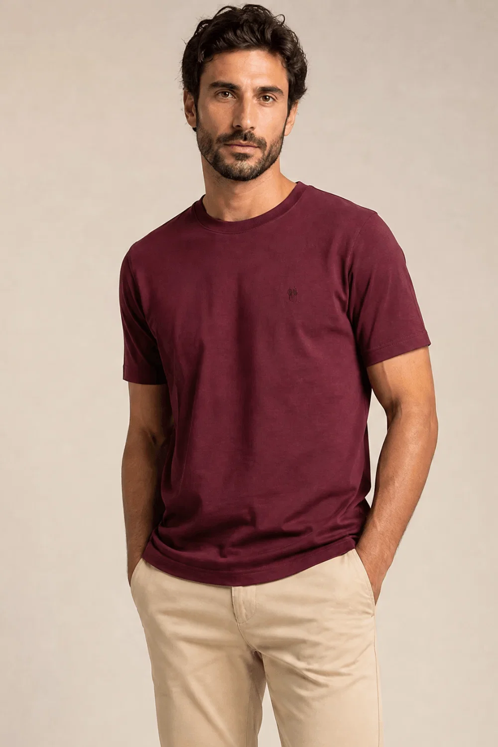 Camiseta Masculina Básica Lisa Casual Polo Wear Vinho