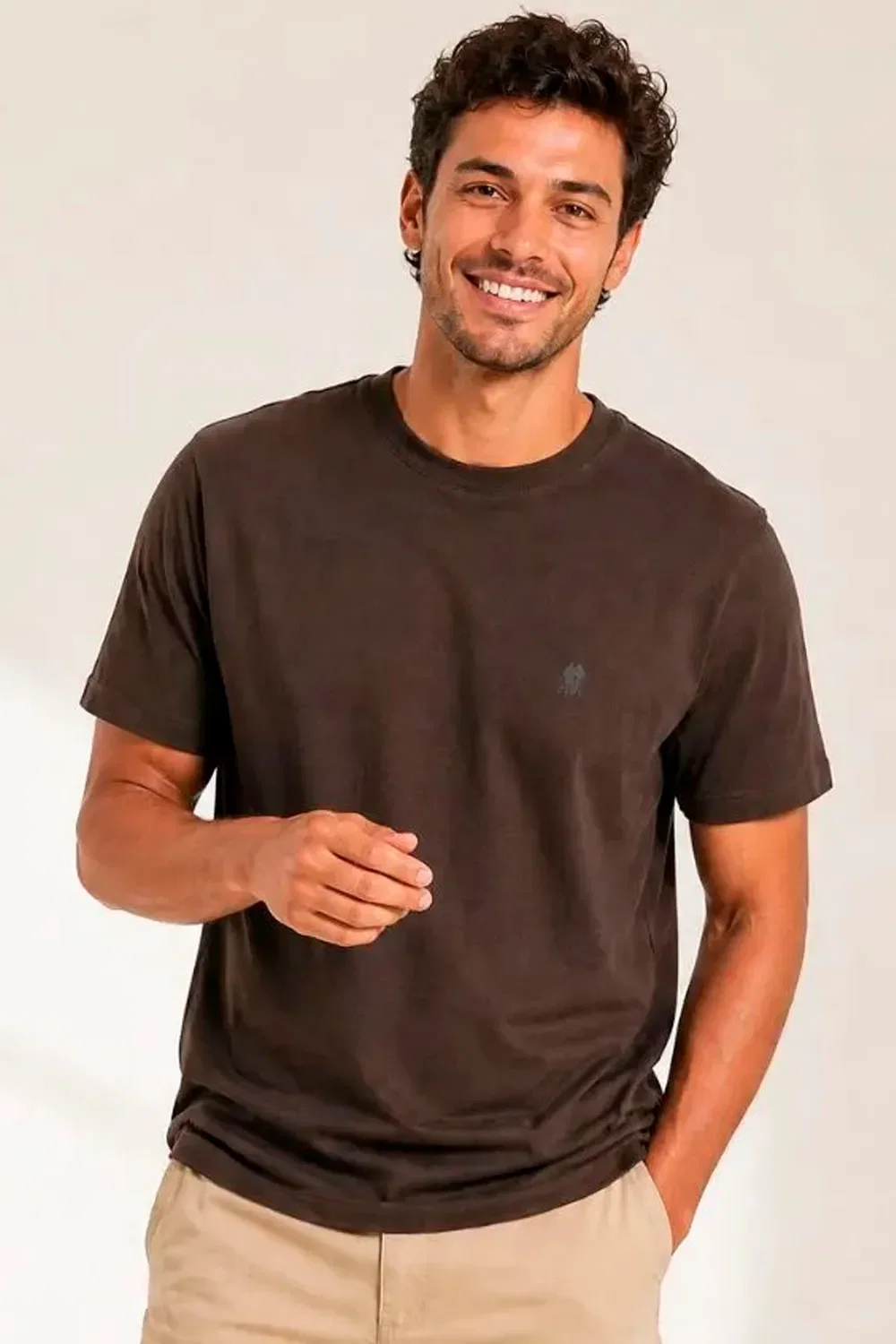 Camiseta Masculina Básica Lisa Casual Polo Wear Marrom