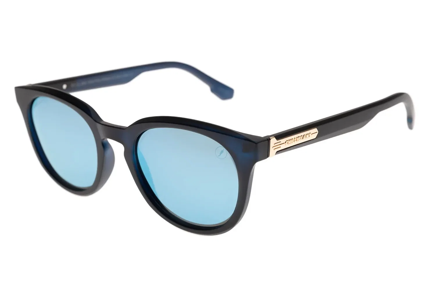 Óculos de Sol Masculino Eco Redondo Azul Polarizado