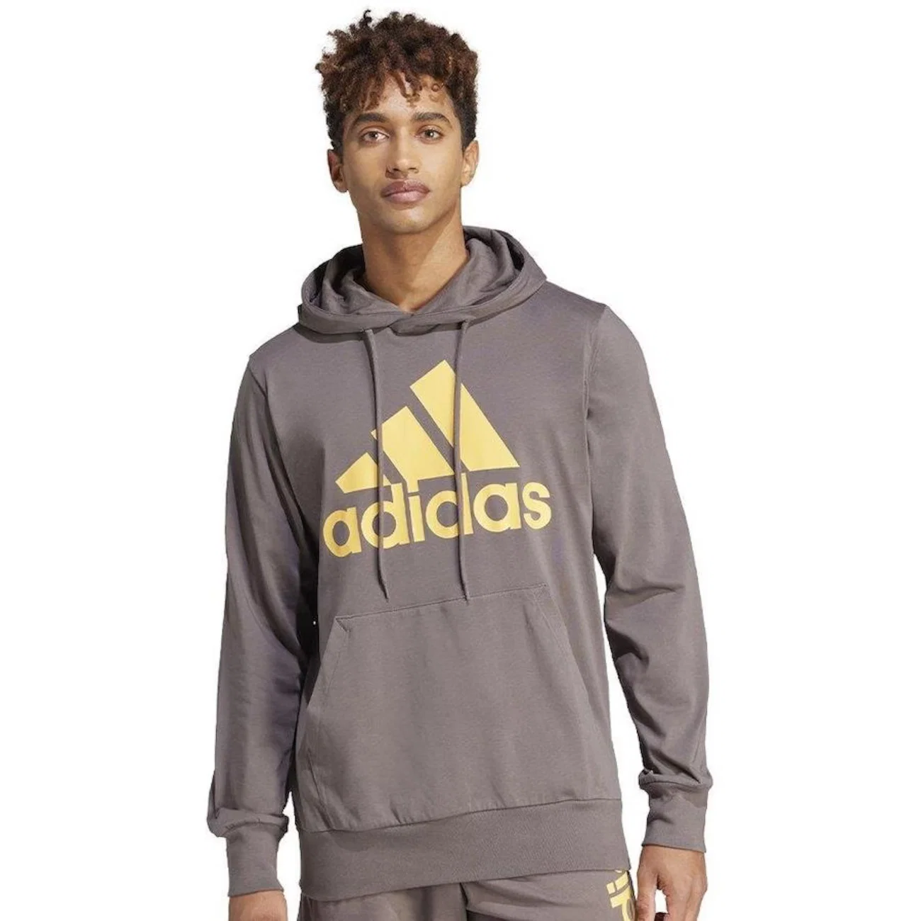Blusão com Capuz Adidas Essentials Logo - Masculino