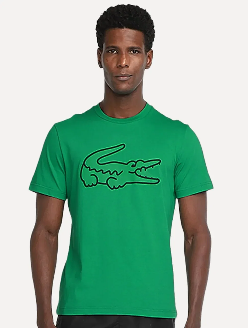 Camiseta Lacoste Masculina Regular Fit Print Croco Verde