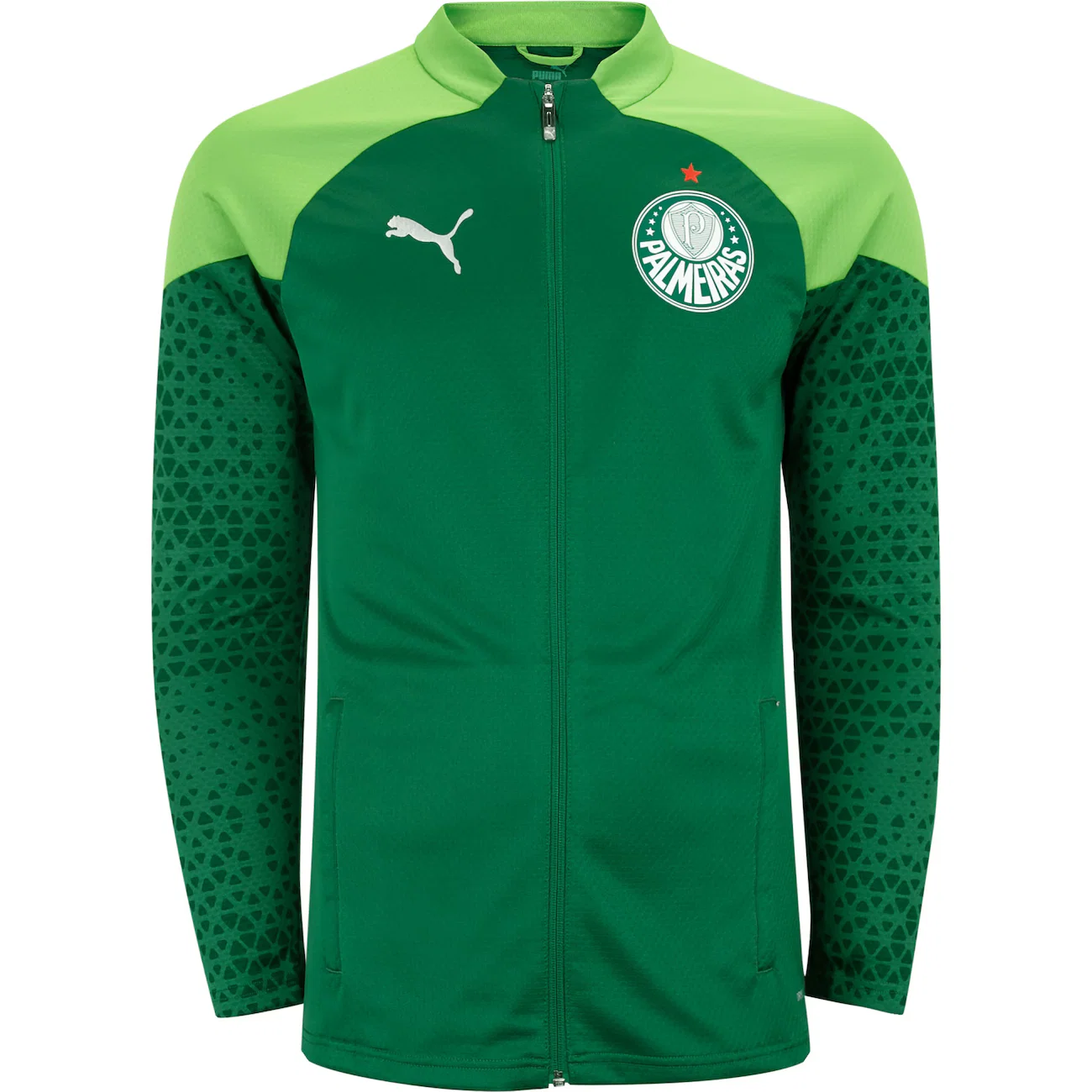 Jaqueta do Palmeiras 24 Puma Masculina Treino — imagem 1