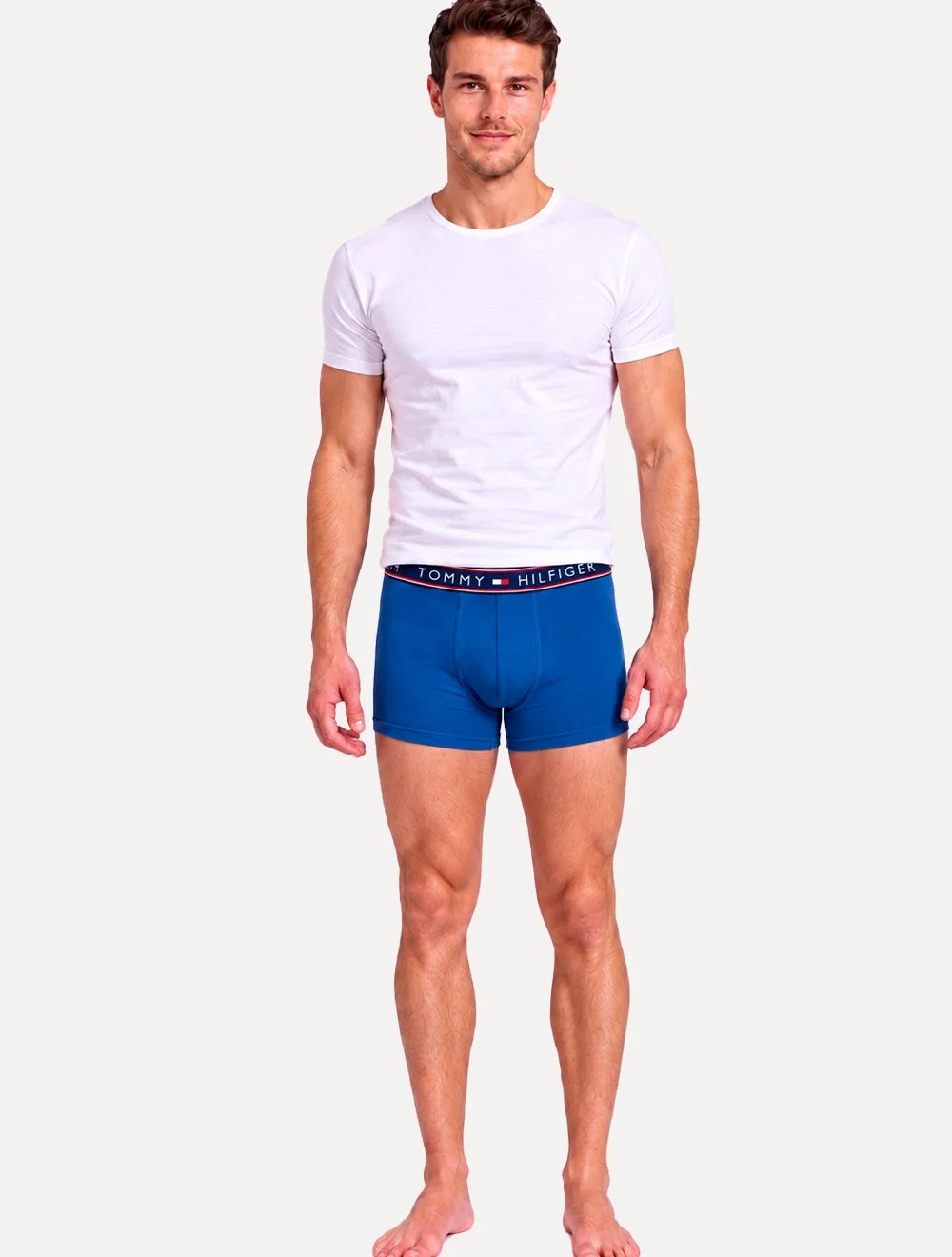 Cuecas Tommy Hilfiger Masculinas Cotton Stretch Trunk Fancy Repeat Cinza Mescla / Azul / Marinho 3UN