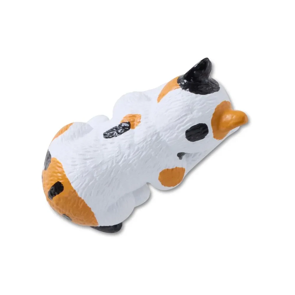 Gato Multicolorido 3D