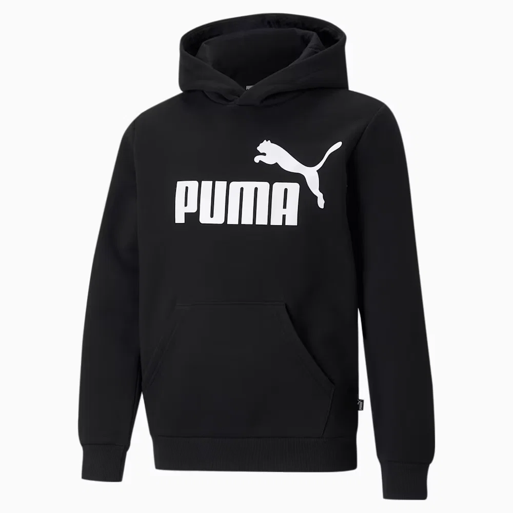 Moletom com Capuz Essentials Big Logo Fleece Juvenil