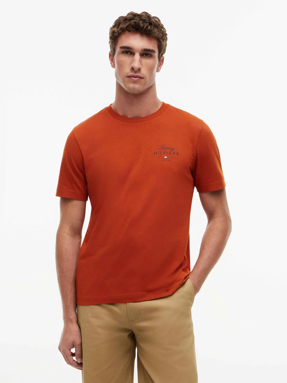 Camiseta Logo TOMMY HILFIGER New York — imagem 1