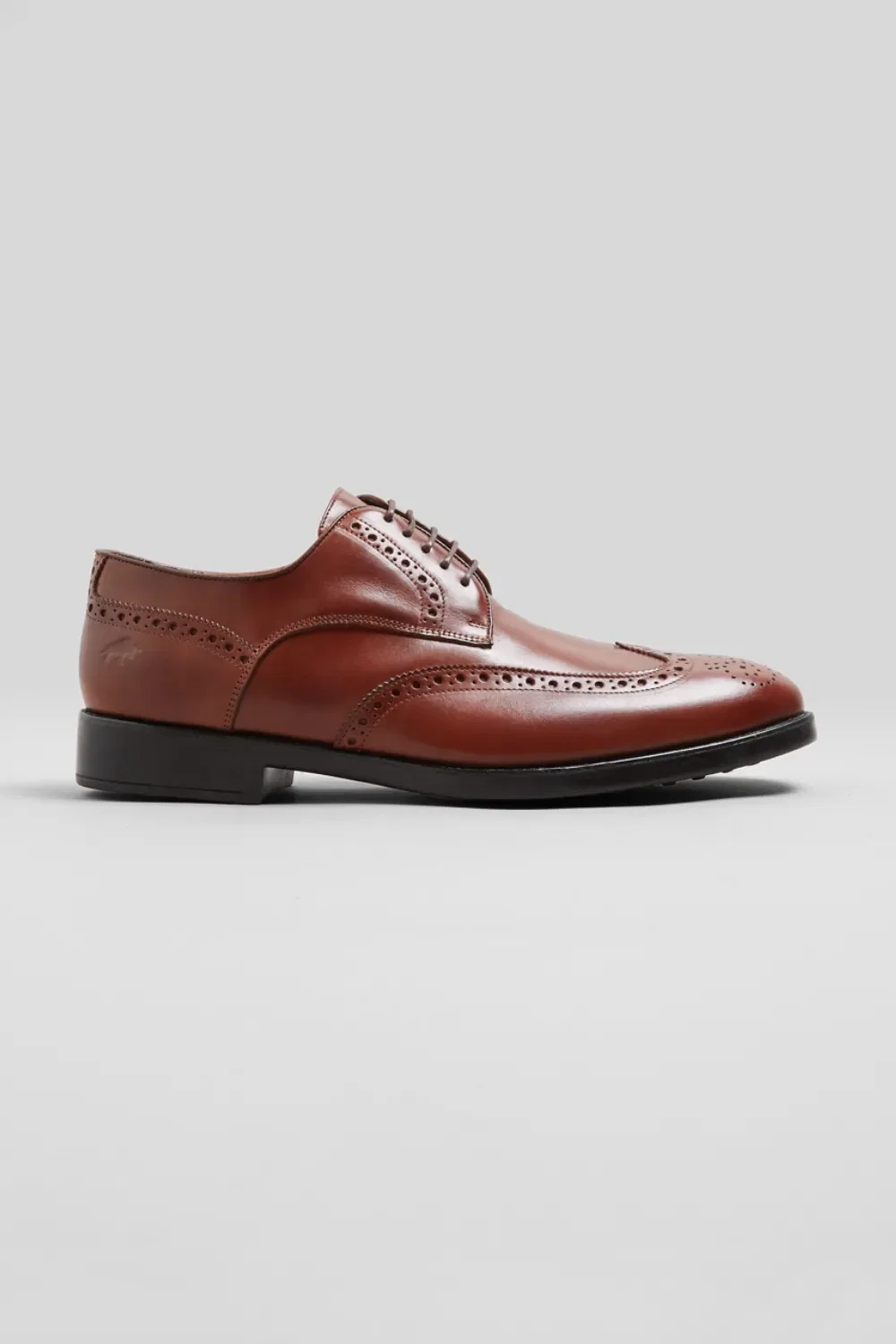 Sapato Aquila Brogue 40003 Reserva