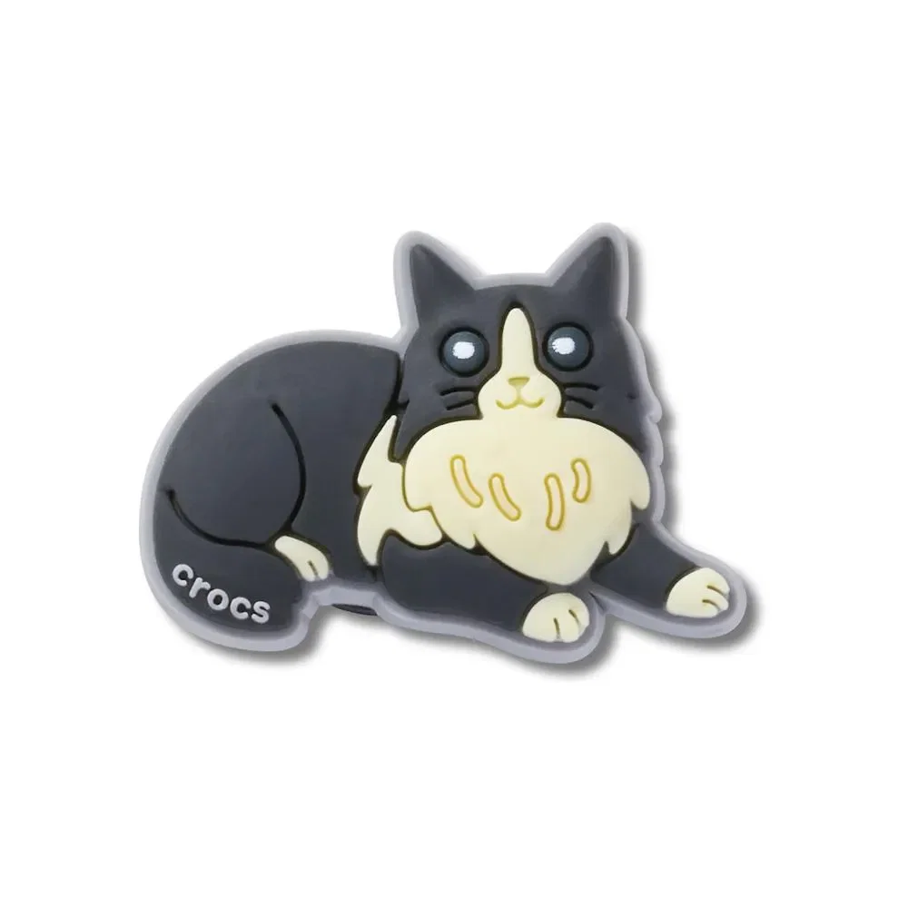 Gato Preto e Branco