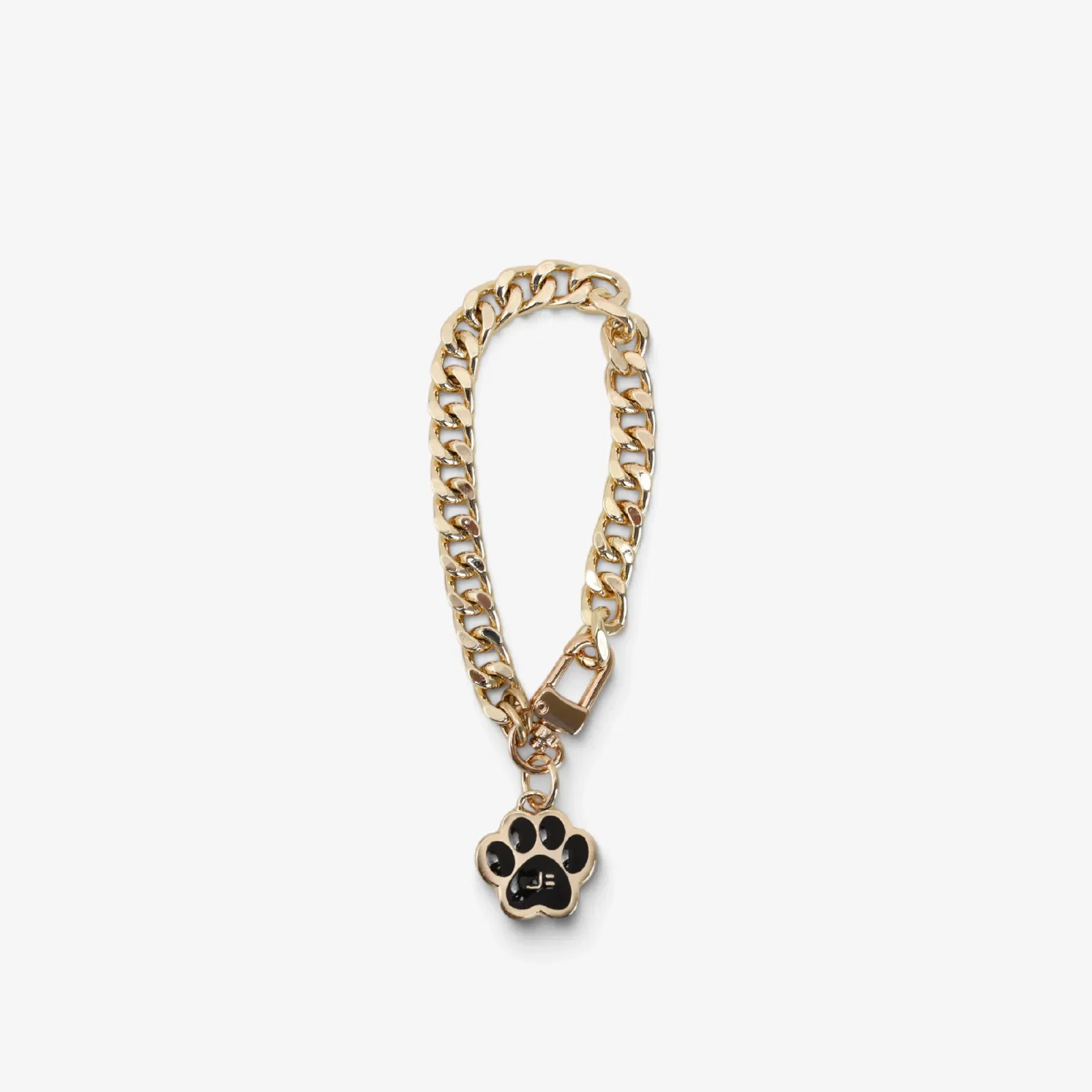 Colar Pet Pingente Corrente Ouro