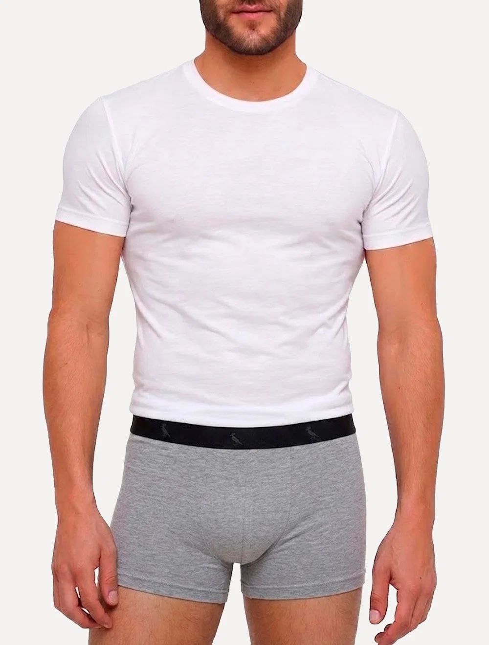 Cueca Reserva Masculina Boxer Grey Woodpecker Cotton Cinza Mescla Pack 2UN