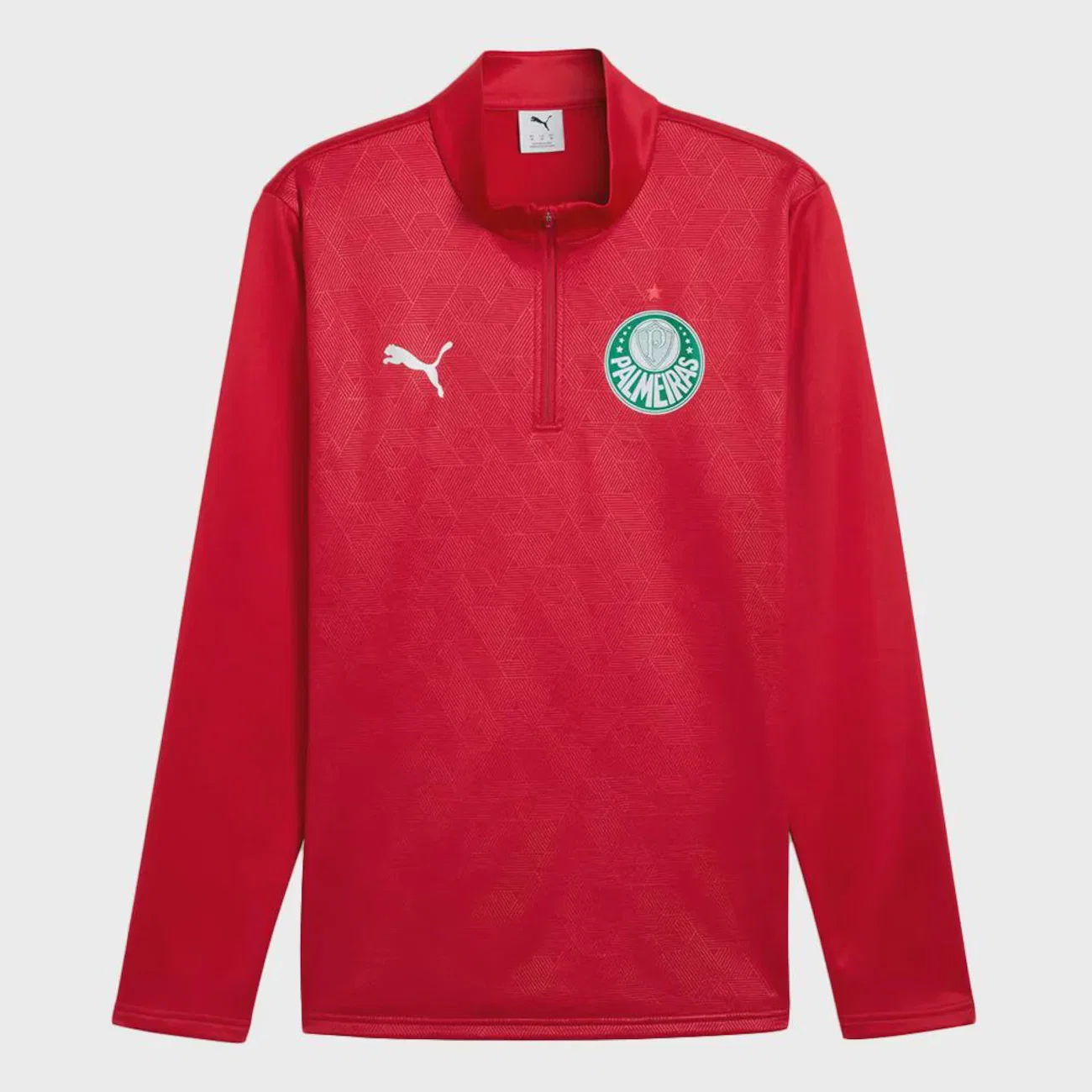 Blusa de Treino Puma Palmeiras Warm SE Masculina
