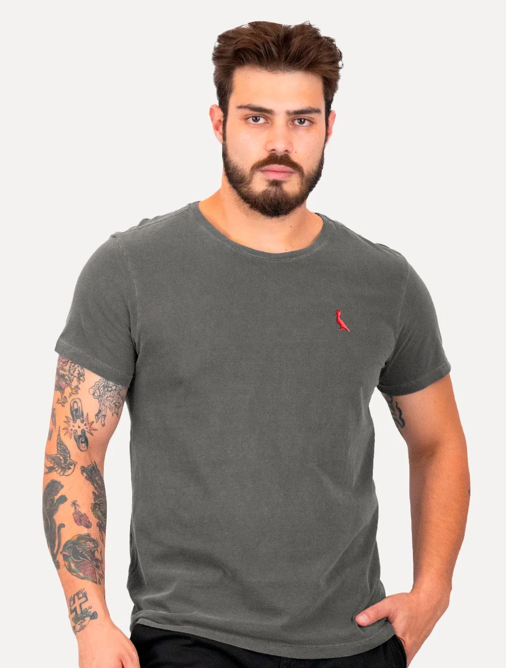 Camiseta Reserva Masculina Basic Red Woodpecker Stoned Cinza Escuro