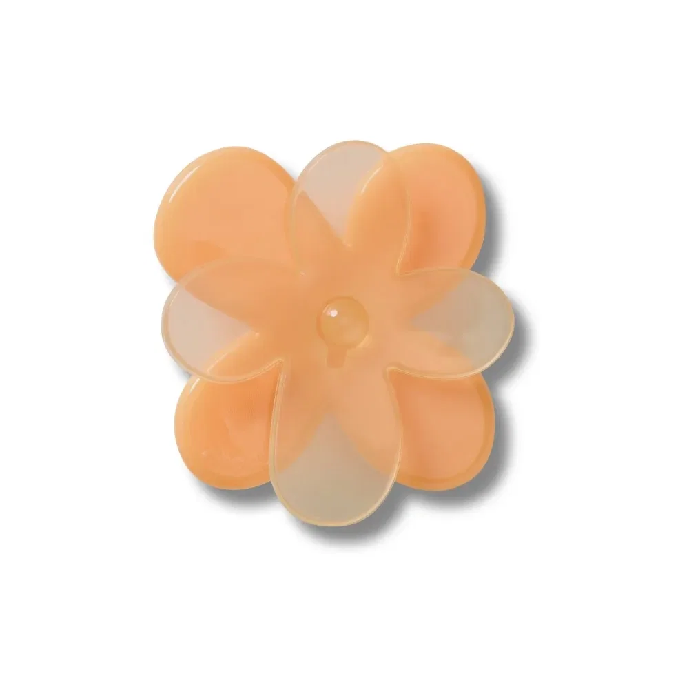 Flor Laranja Florescendo