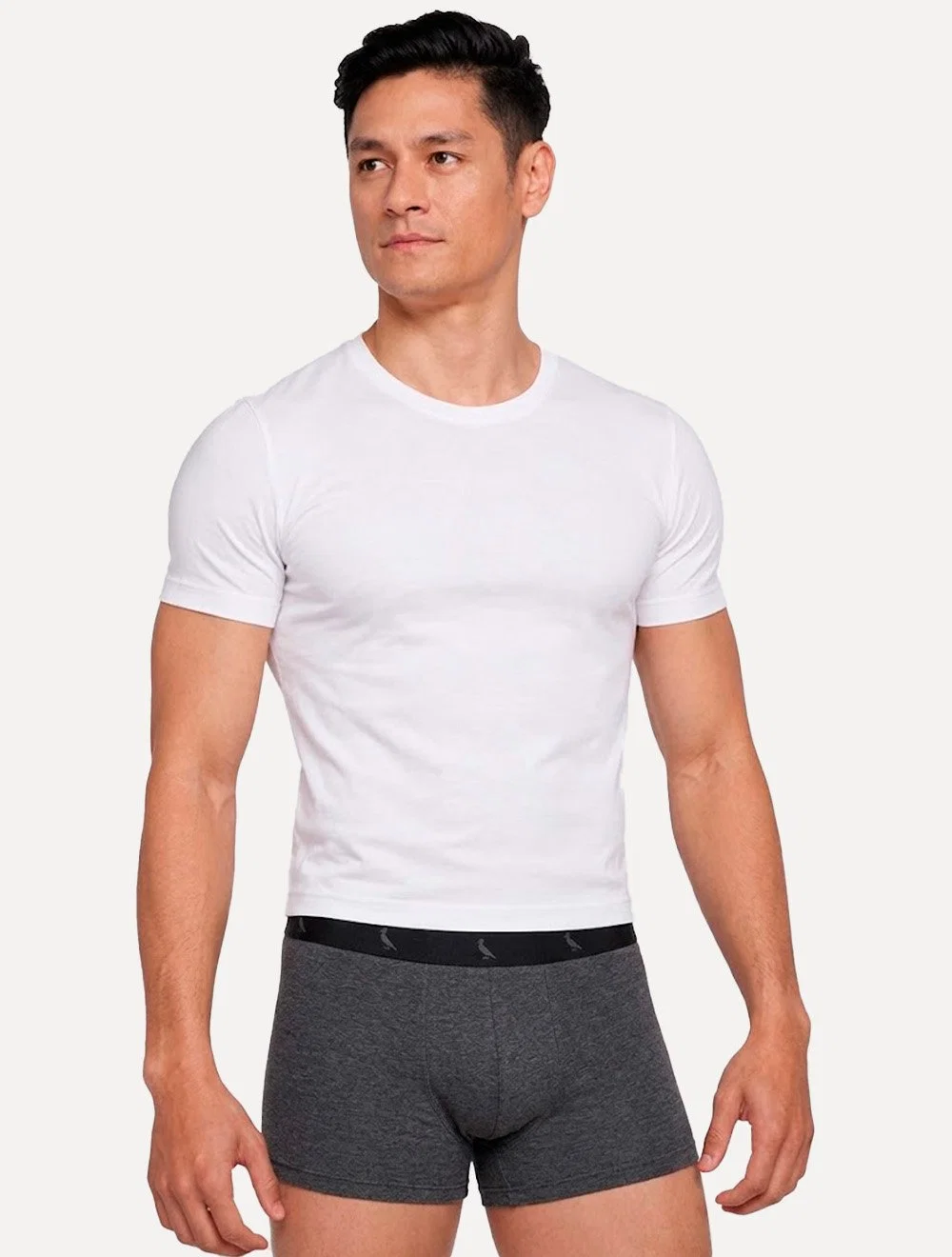 Cueca Reserva Masculina Boxer Grey Woodpecker Cotton Cinza Mescla Pack 3UN