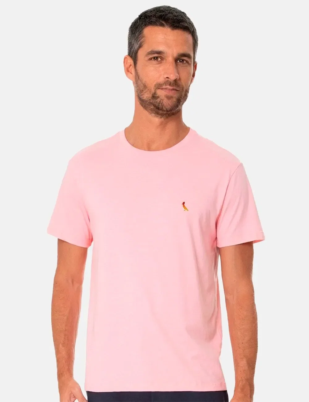 Camiseta Reserva Masculina Gradient Woodpecker Rosa Claro