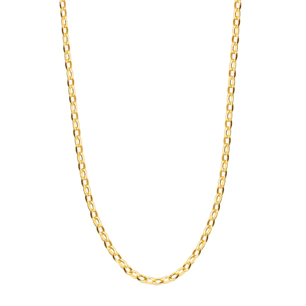 Corrente Life Elos Portugueses em Prata 925 com Banho de Ouro Amarelo 18k, 50cm — imagem 1