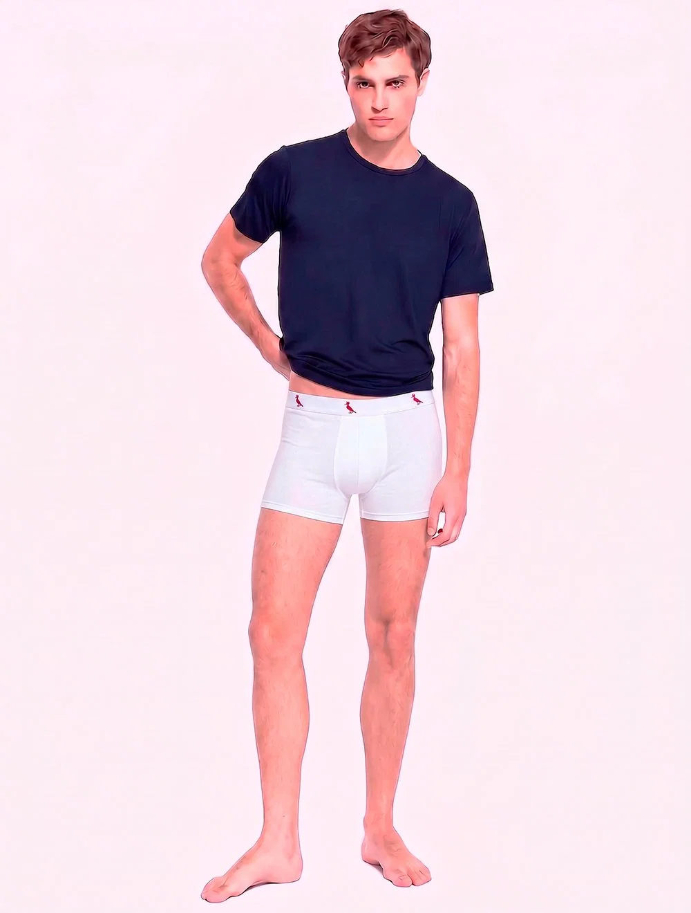 Cueca Reserva Masculina Boxer Red Woodpecker Cotton Branca