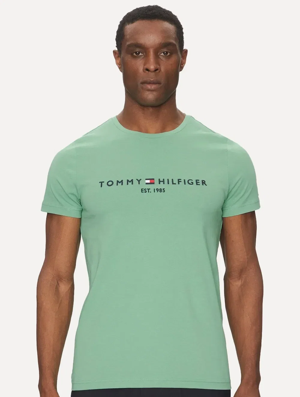 Camiseta Tommy Hilfiger Masculina Core Logo Tee Verde Menta — imagem 1