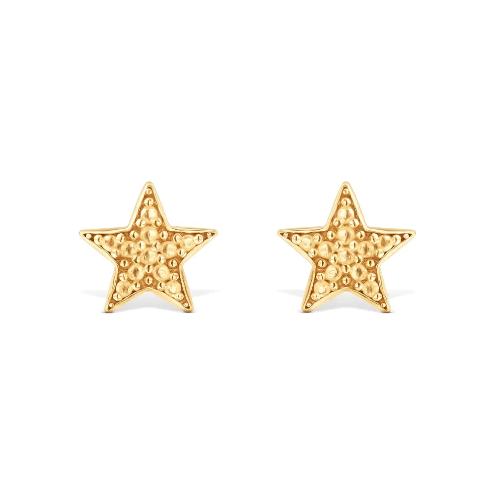 Brinco Life Estrela
