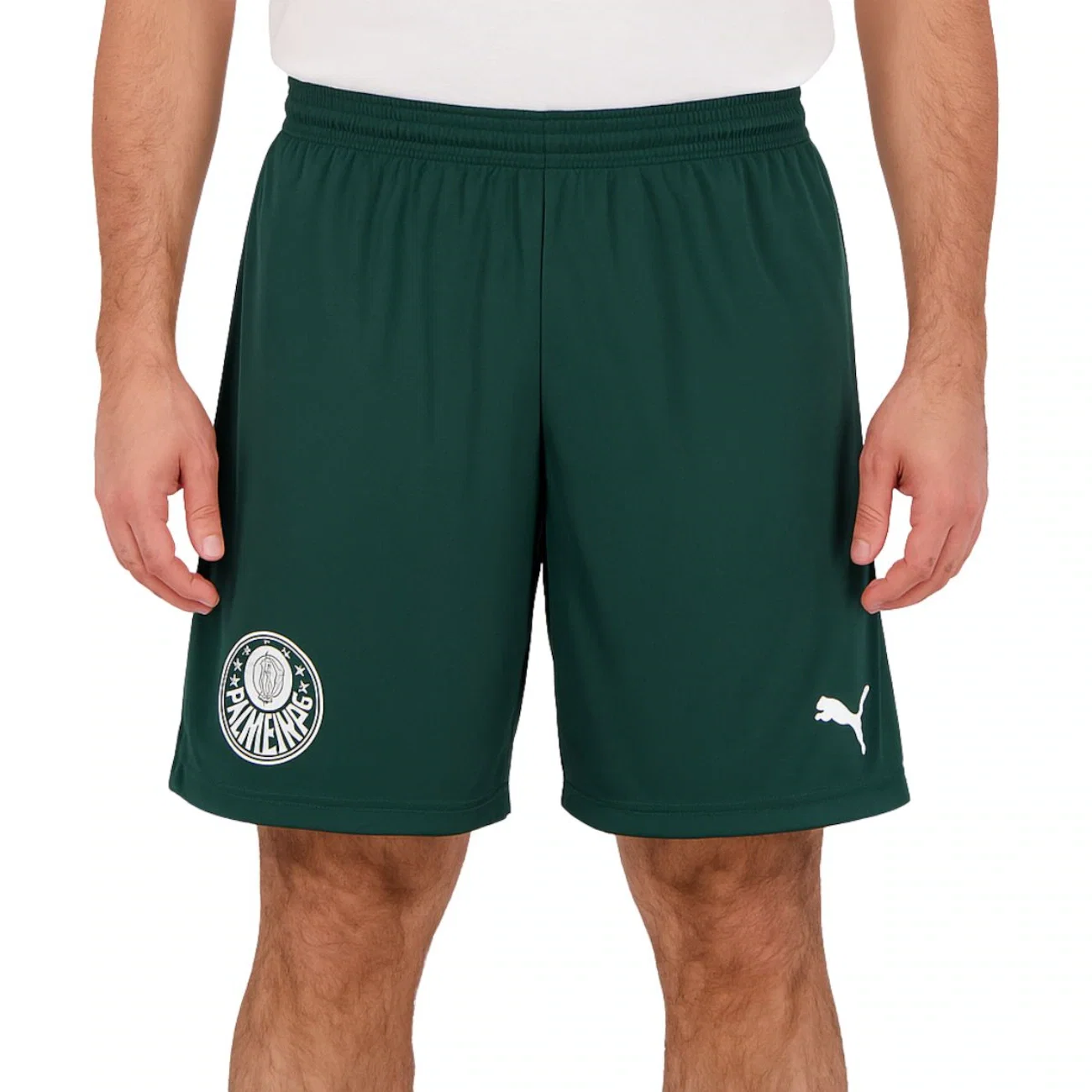 Bermuda do Palmeiras Basquete Puma - Masculina