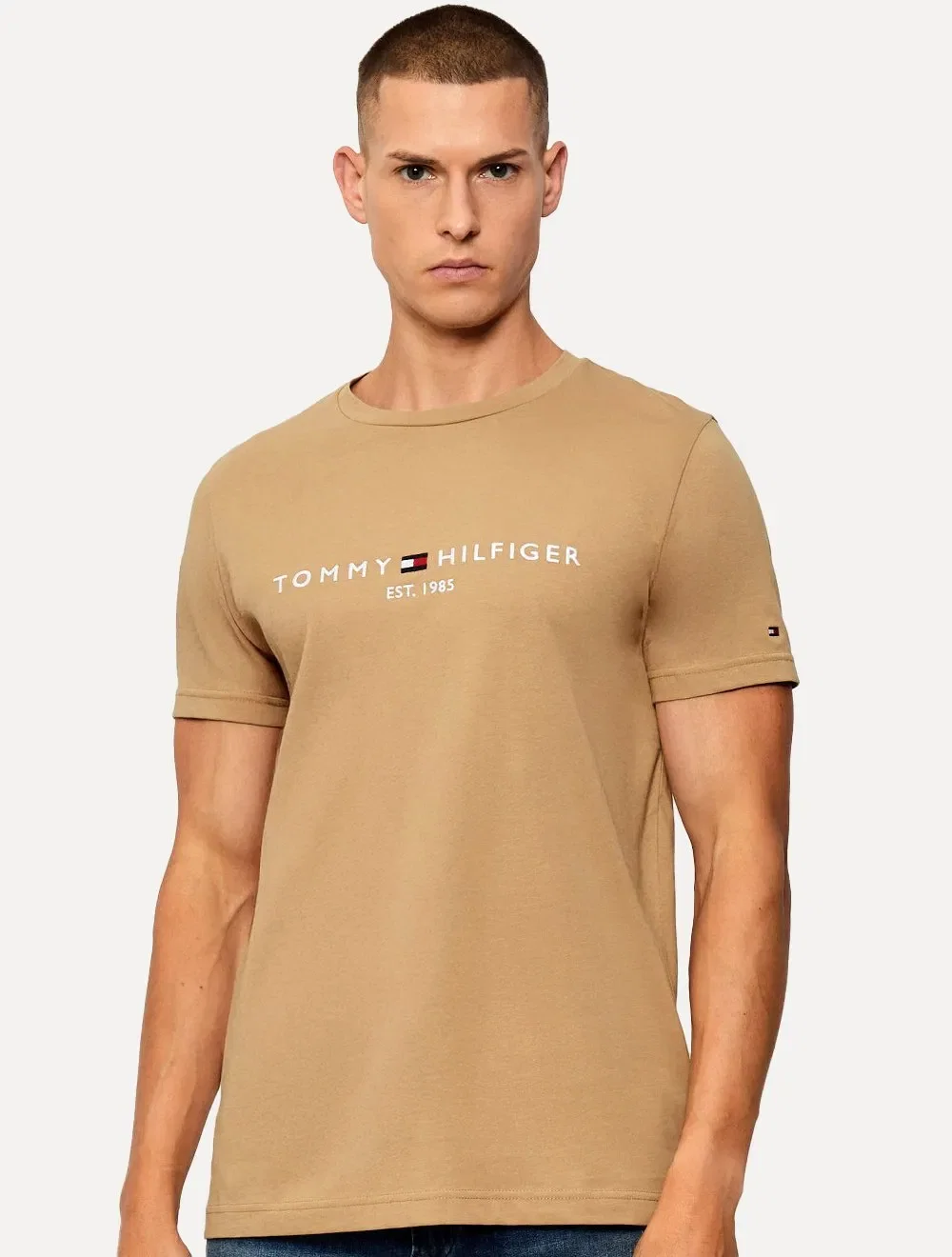 Camiseta Tommy Hilfiger Masculina Core Logo Tee Marrom — imagem 1