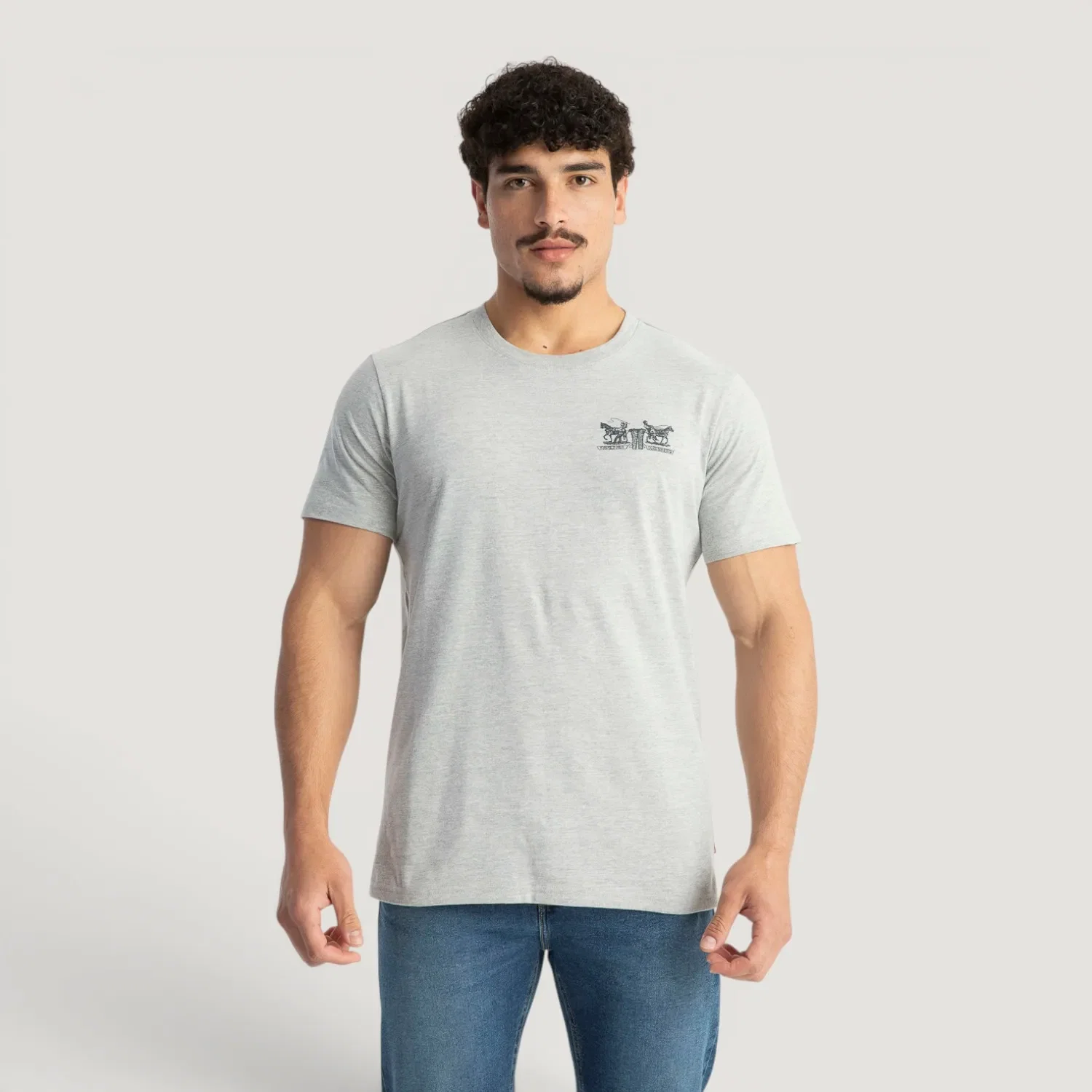 Camiseta Levi's® Graphic Crewneck Cinza Manga Curta — imagem 1