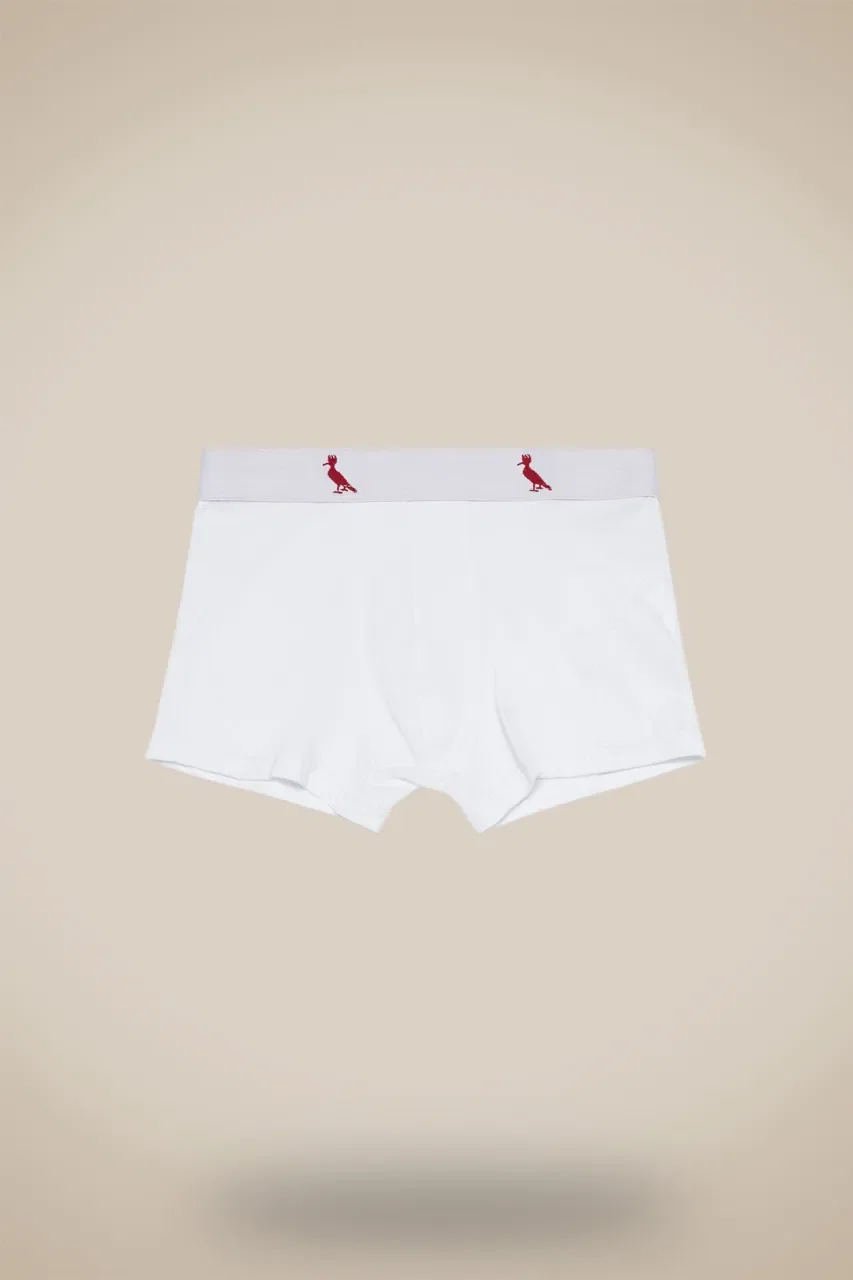 Cueca Cont Mini Boxer Algodao