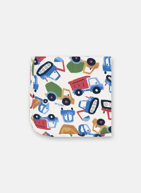 Manta Em Suedine Premium Bebê Menino Multicolor Up Baby
