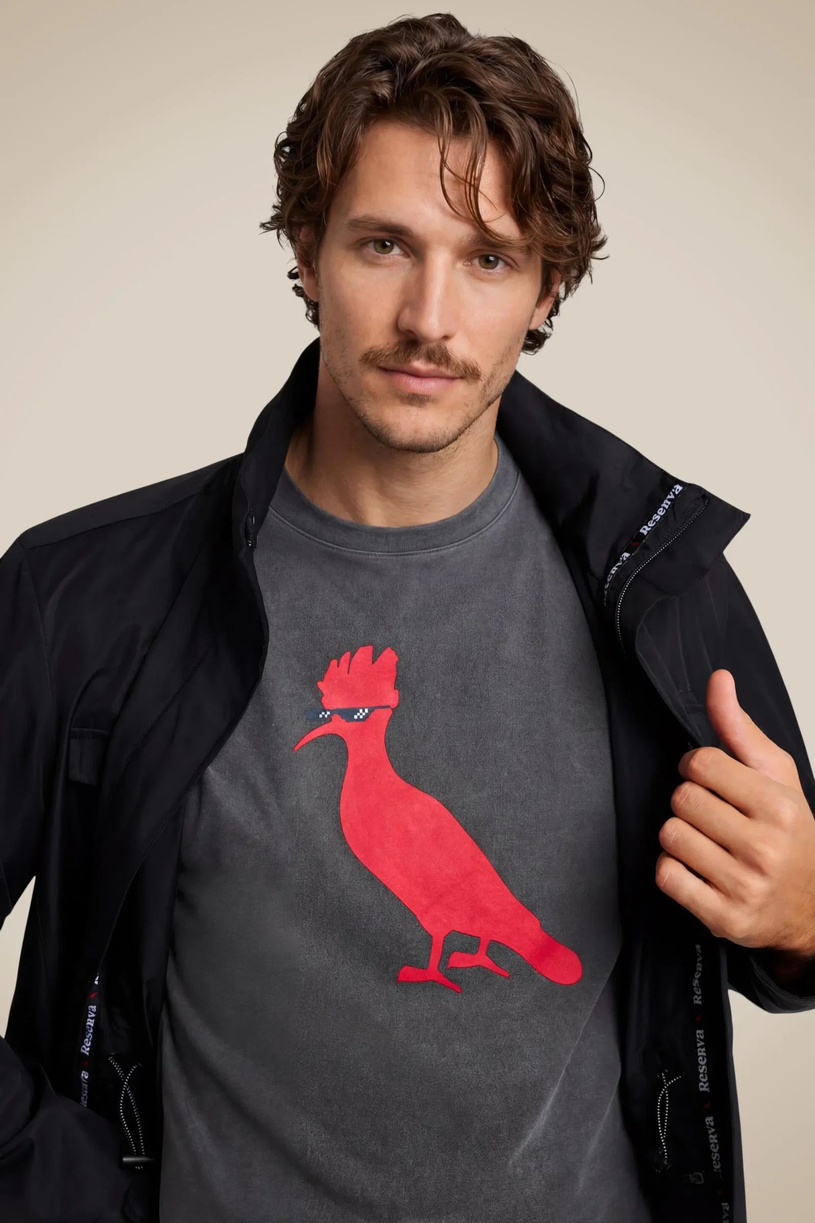 Camiseta Pica-pau Meme — imagem 1